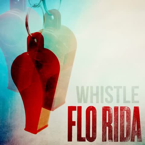 ภาพตัวอย่าง Whistle