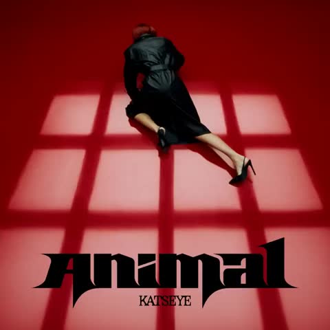 ภาพตัวอย่าง ac100751 Animal