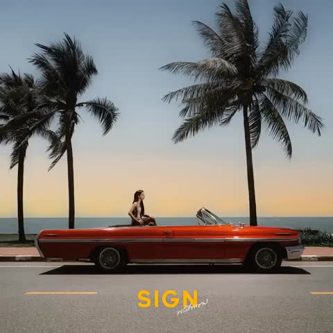 ภาพตัวอย่าง b52f659a  sign