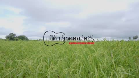 ภาพตัวอย่าง ee228a6e