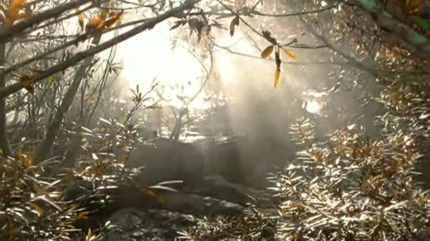 ภาพตัวอย่าง c7e0  - OFFICIAL MV