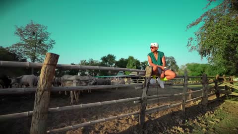 ภาพตัวอย่าง daf  - COVER
