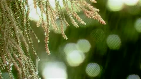 ภาพตัวอย่าง ae394c  - U.H.T. OFFICIAL MV