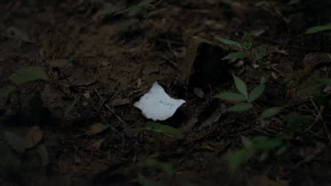 ภาพตัวอย่าง eec5fad  Vanishing - AYLAs Official MV