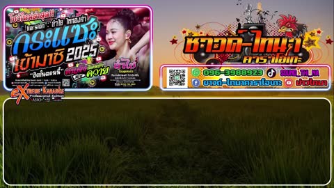 ภาพตัวอย่าง กระแซะเข้ามาซิ คาราโอเกะ - ลำไย ไหทองคำ