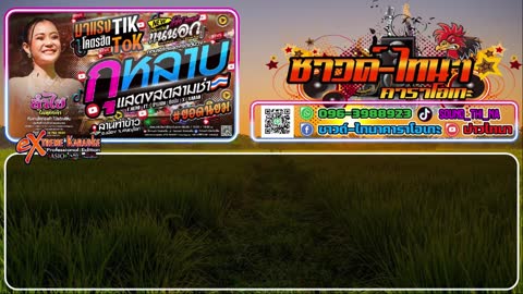 ภาพตัวอย่าง กุหลาบ3ช่า คาราโอเกะ - ลำไย ไหทองคำ แสดงสด
