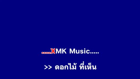 ภาพตัวอย่าง 𝄞 ดอกไม้กับแจกัน ‣ Seven ❥ คาราโอเกะ กีต้าร์สด ツ