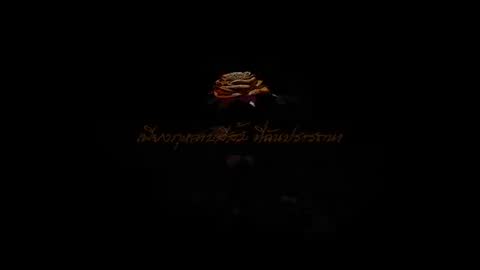 ภาพตัวอย่าง F.HERO Ft. ก้านตอง ทุ่งเงิน x SARAN - กุหลาบ (KULARB) [OFFICIAL VISUALIZER]